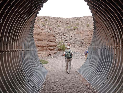 White Owl Canyon