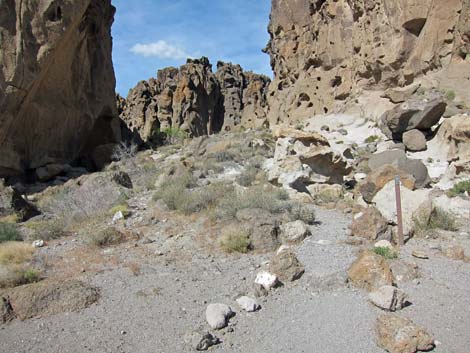 Barber Loop Trail