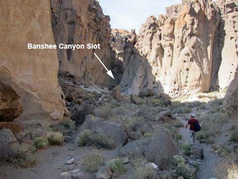 Barber Loop Trail