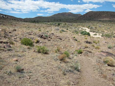 Barber Loop Trail