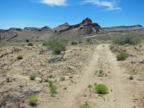 Barber Loop Trail