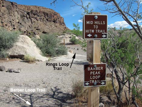 Rings Trail (Banshee Canyon)