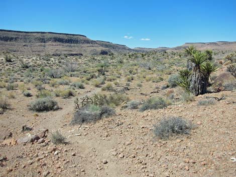 Barber Loop Trail