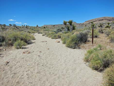 Barber Loop Trail