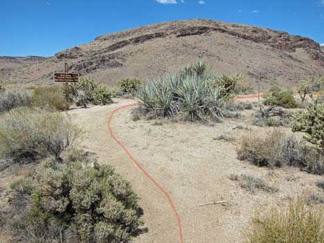 Barber Loop Trail