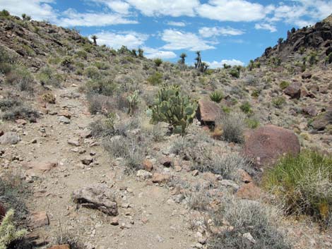 Barber Loop Trail