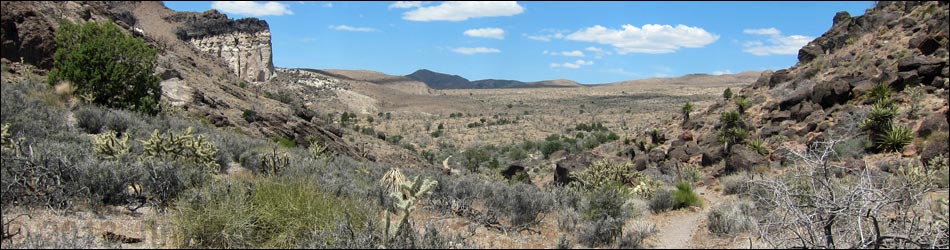 Mojave National Preserve