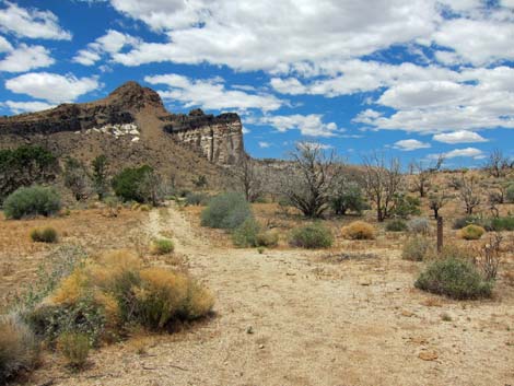 Barber Loop Trail