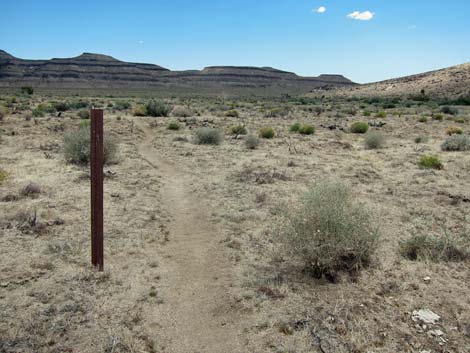 Barber Loop Trail