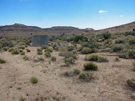 Barber Loop Trail