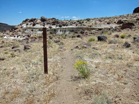 Barber Loop Trail