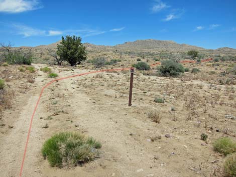 Hole-in-the-Wall to Mid Hills Trail