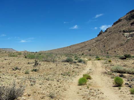 Barber Loop Trail