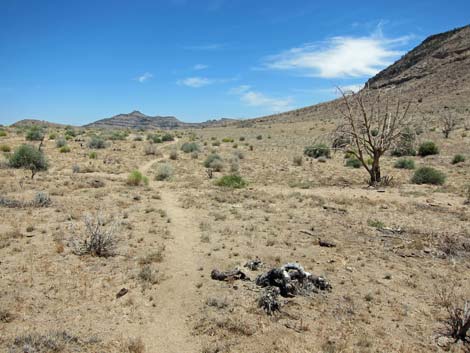 Barber Loop Trail