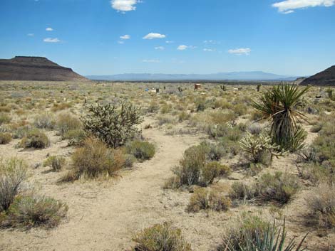 Barber Loop Trail