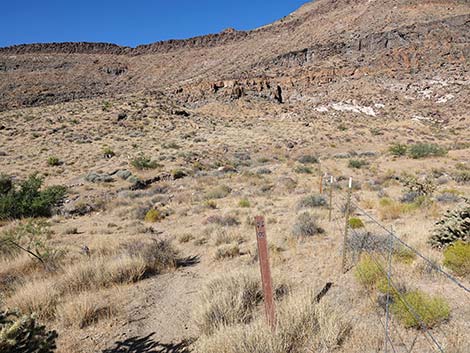 Barber Loop Trail