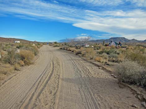 Cactus Garden Loop Trail