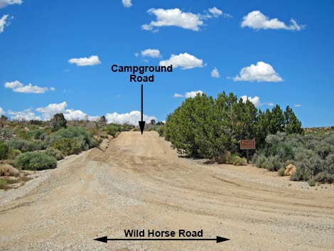 Wild Horse Road