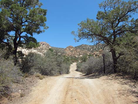 Caruthers Canyon Road