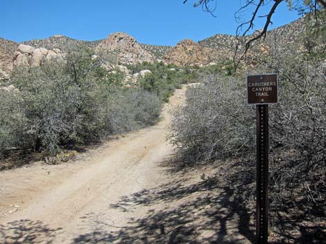 Caruthers Canyon