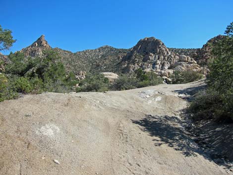 Caruthers Canyon