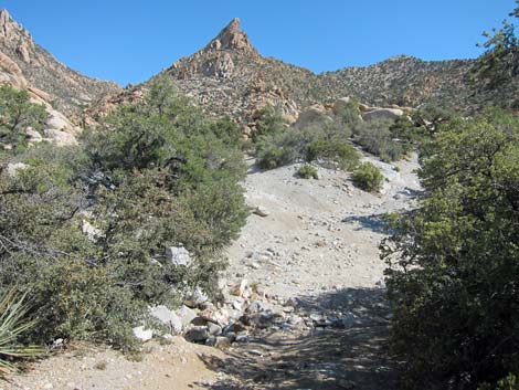 Caruthers Canyon