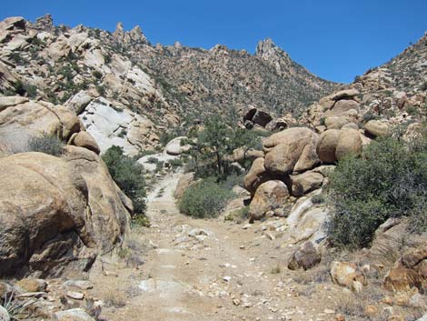 Caruthers Canyon