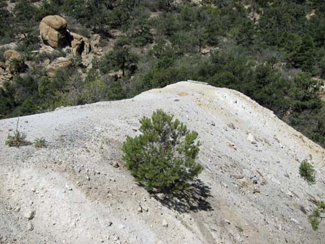 Caruthers Canyon