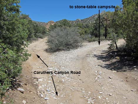 Caruthers Canyon