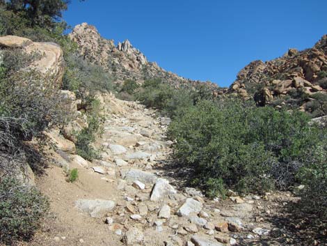 Caruthers Canyon Road