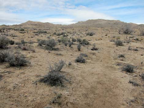 Hole-in-the-Wall to Mid Hills Trail