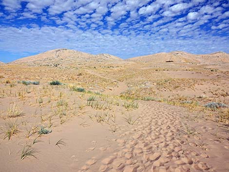 Kelso Dunes