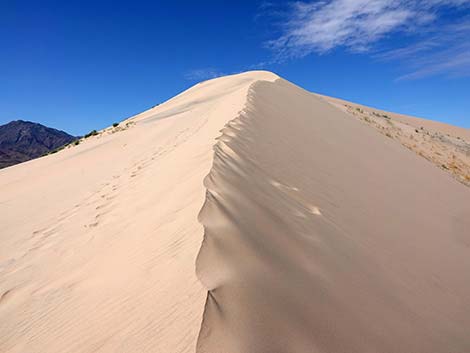 Kelso Dunes