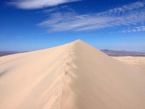 Kelso Dunes