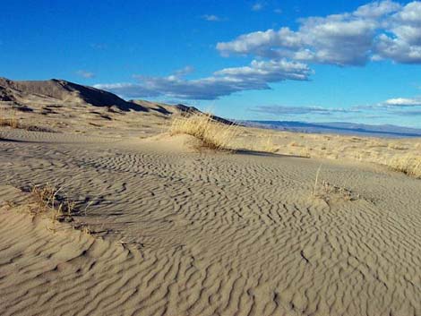 Kelso Dunes