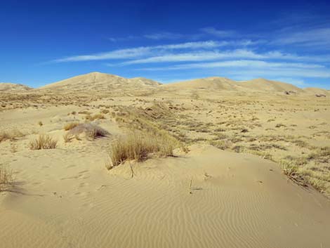 Kelso Dunes