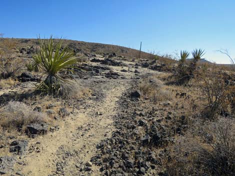 Lava Tube Trail