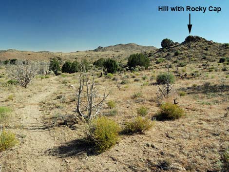 Mid Hills Loop Trail