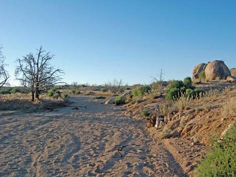 Mid Hills Loop Trail