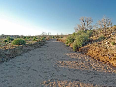 Mid Hills Loop Trail