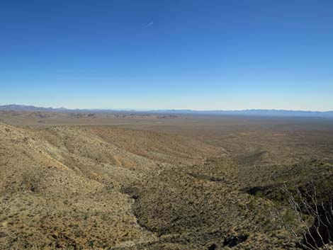 Mitchell Caverns Trail