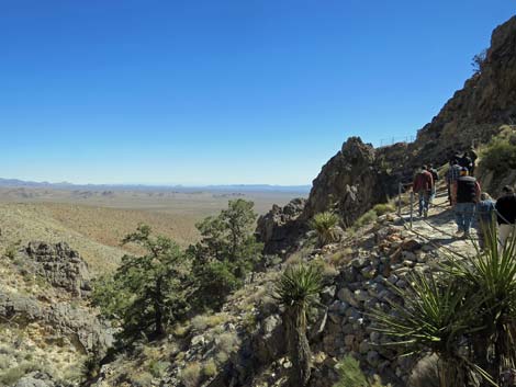 Mitchell Caverns Trail