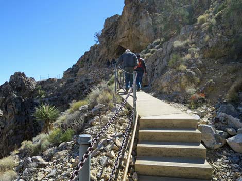 Mitchell Caverns Trail