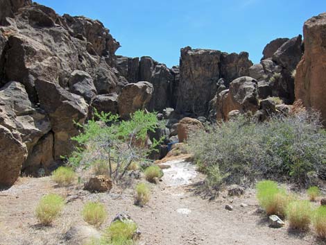 rings trailhead