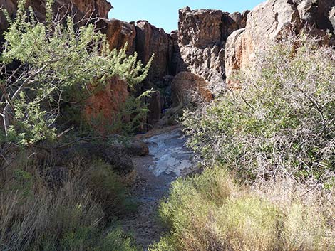 Banshee Canyon Overlook