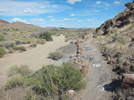 Rings Loop Trail