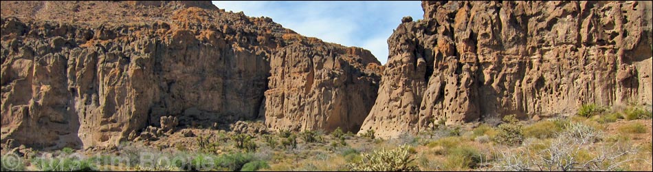 Rings Loop Trail