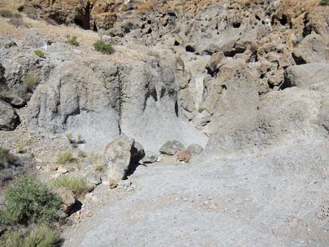 Rings Trail (Banshee Canyon)