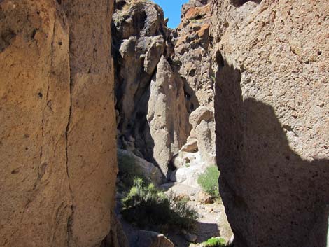 Rings Trail (Banshee Canyon)