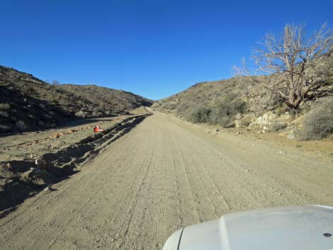 Black Canyon Road